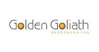 Corporate Logo