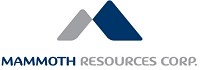 Corporate Logo