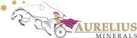 Corporate Logo