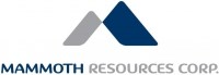 Corporate Logo