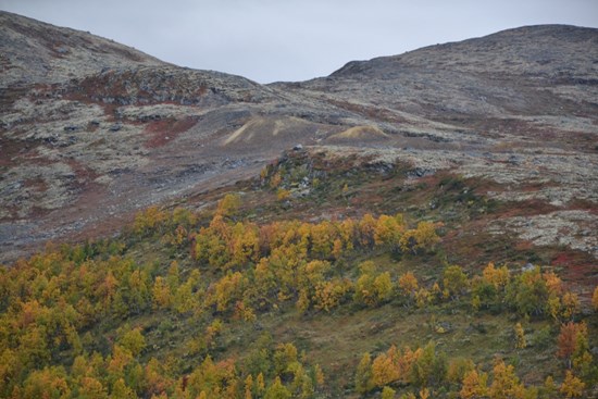Cannot view this image? Visit: https://www.miningstockeducation.com/wp-content/uploads/2020/10/65929_31e1054e44030bb8_003.jpg