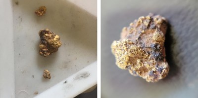 Figure 2 - Gold nuggets recovered from the Magazine grid along the Camp Hill Range (left), and a close-up of the 1.9g gold nugget on the right (larger nugget is approximately 1 cm across; photos courtesy of Dave Kiely). (CNW Group/E79 Resources Corp.)