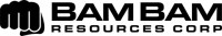 Corporate Logo