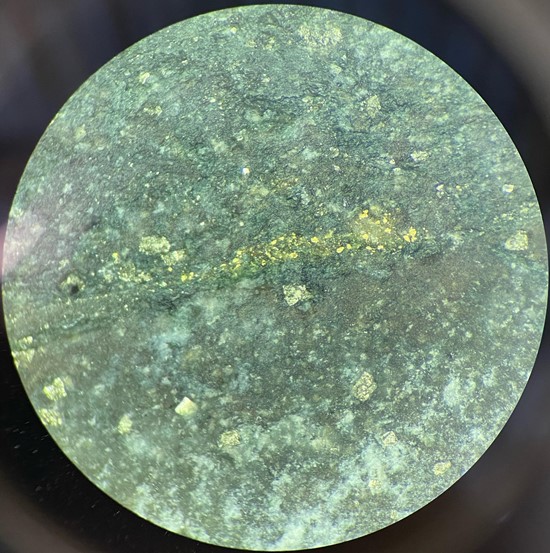 Cannot view this image? Visit: https://www.miningstockeducation.com/wp-content/uploads/2021/06/88108_mapleplate1_550.jpg