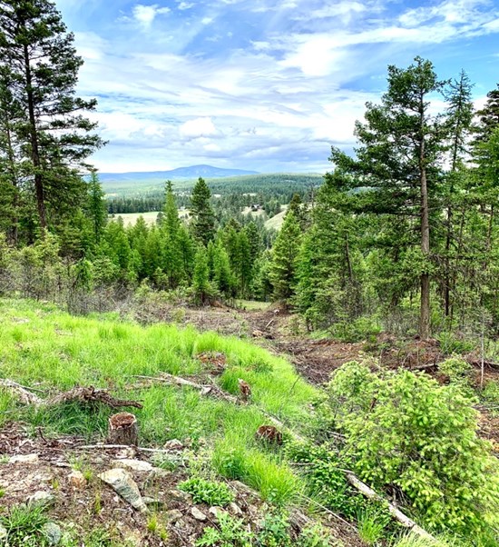 Cannot view this image? Visit: https://www.miningstockeducation.com/wp-content/uploads/2021/06/88256_a6c3b43ab468293d_002.jpg