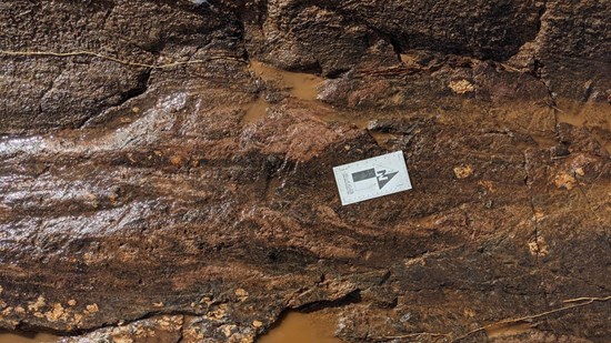 Cannot view this image? Visit: https://www.miningstockeducation.com/wp-content/uploads/2021/08/93373_e8ab2e3aa4043871_007.jpg