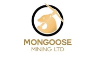 Corporate Logo