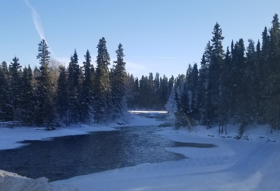 A picture containing outdoor, tree, sky, snow
Description automatically generated