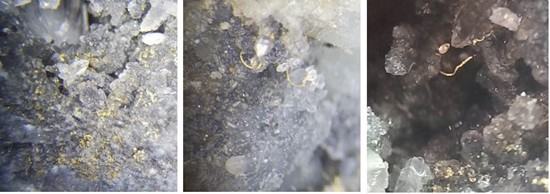Cannot view this image? Visit: https://www.miningstockeducation.com/wp-content/uploads/2022/01/111473_lion2520one2520fig25205_550.jpg