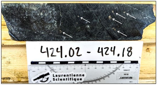 Cannot view this image? Visit: https://www.miningstockeducation.com/wp-content/uploads/2022/03/116722_quebecnickel_550.jpg