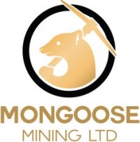 Corporate Logo