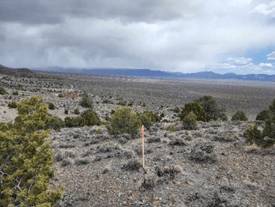 Nevada Silver Corporation , Thursday, April 28, 2022, Press release picture