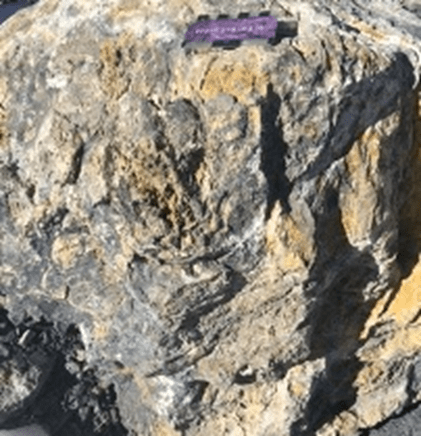 Nevada Silver Corporation , Thursday, April 28, 2022, Press release picture