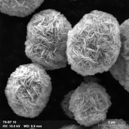 American Manganese Inc., Monday, May 16, 2022, Press release picture