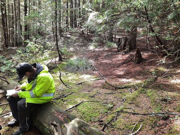 Ximen Mining Corp., Thursday, May 26, 2022, Press release picture