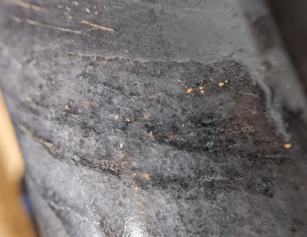 Gold Terra Resource Corp, Monday, June 6, 2022, Press release picture