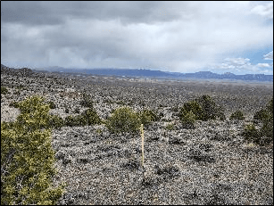 Nevada Silver Corporation, Wednesday, June 15, 2022, Press release picture