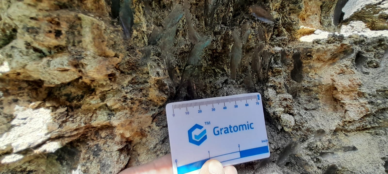 Gratomic Inc., Thursday, August 18, 2022, Press release picture