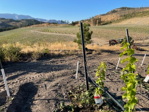 Vertical Exploration Inc., Thursday, September 22, 2022, Press release picture