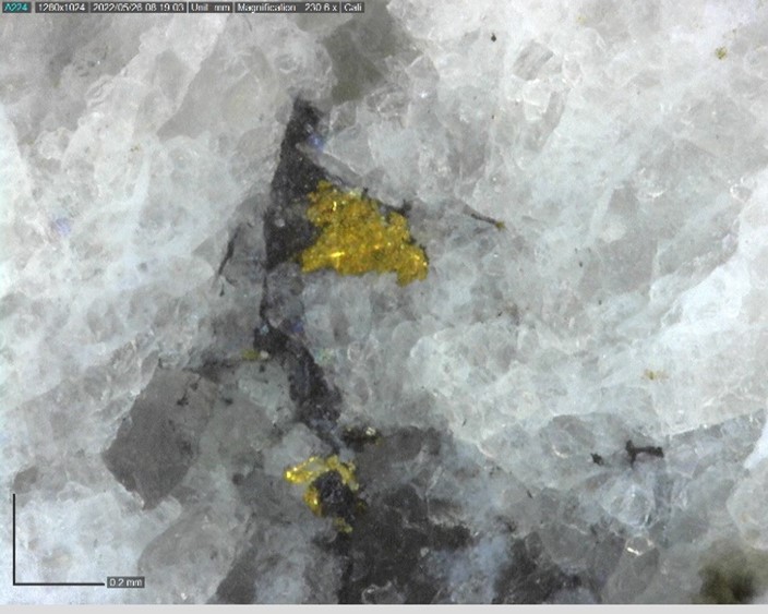 Banyan Gold Corp., Tuesday, October 11, 2022, Press release picture