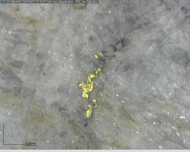 Banyan Gold Corp., Tuesday, October 11, 2022, Press release picture