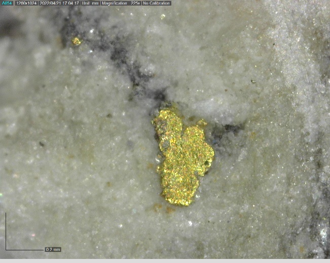 Banyan Gold Corp., Tuesday, October 11, 2022, Press release picture