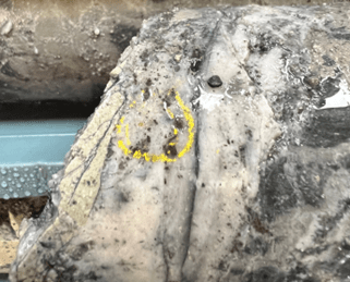 Mawson Gold Limited, Monday, November 7, 2022, Press release picture
