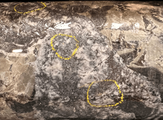 Mawson Gold Limited, Monday, November 7, 2022, Press release picture
