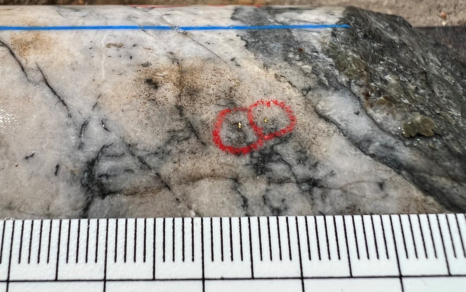 Mawson Gold Limited, Monday, November 21, 2022, Press release picture