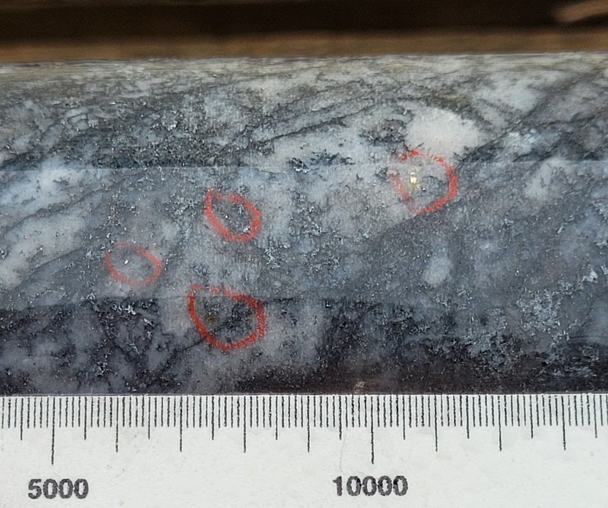 Mawson Gold Limited, Monday, November 21, 2022, Press release picture