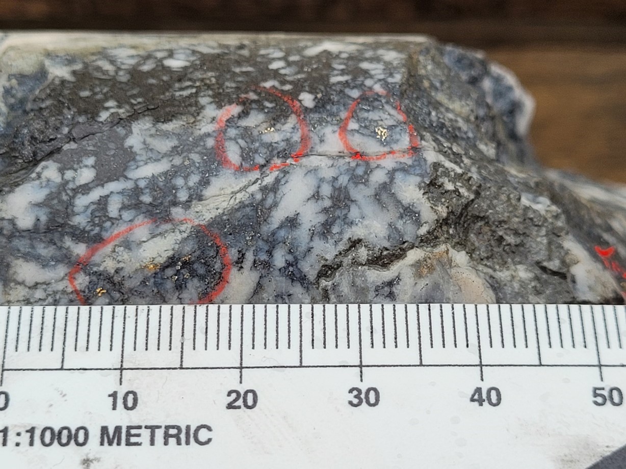 Mawson Gold Limited, Monday, November 21, 2022, Press release picture