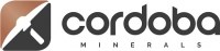 Corporate Logo