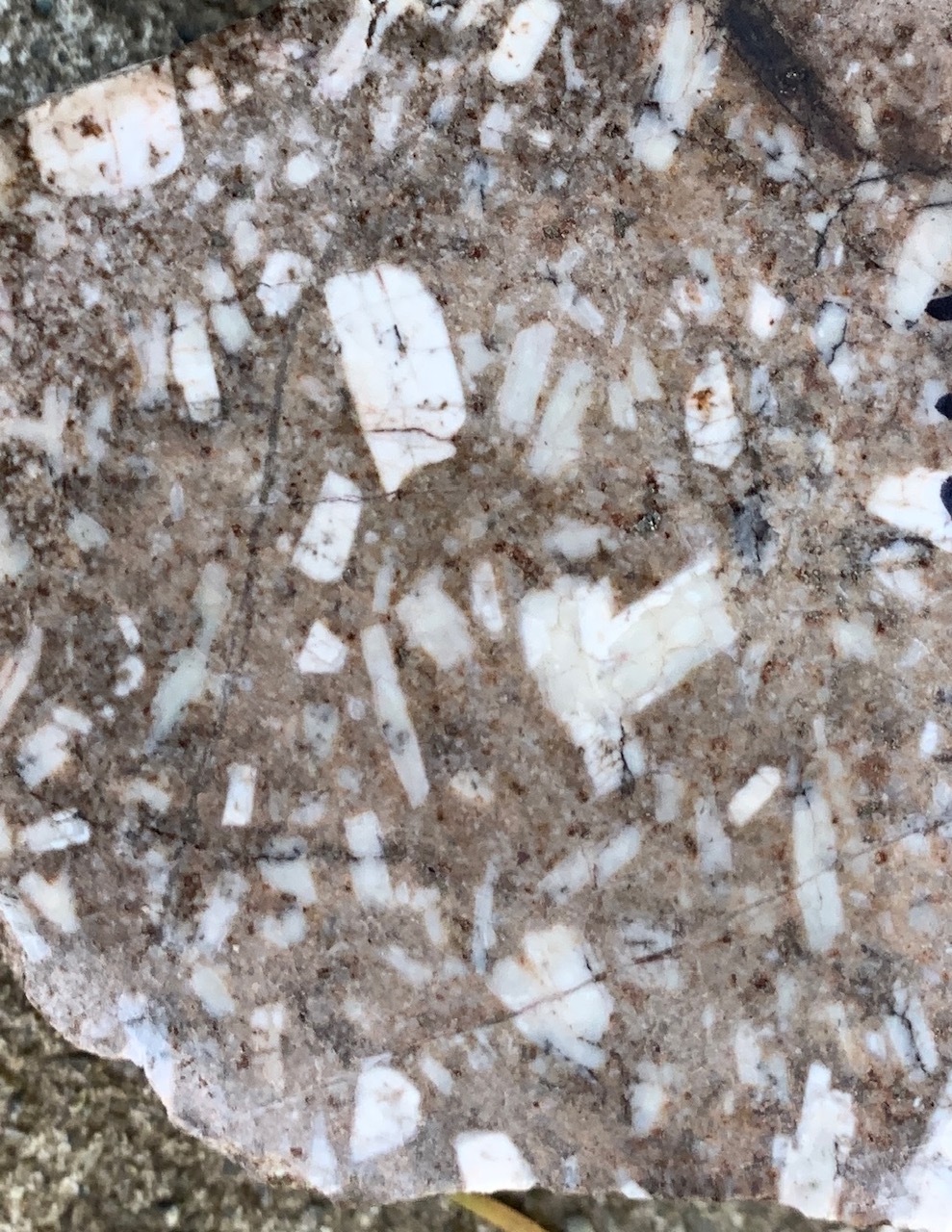 PJX Resources Inc., Tuesday, May 9, 2023, Press release picture