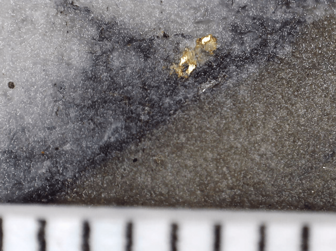 Mawson Gold Limited, Tuesday, May 16, 2023, Press release picture
