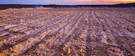 Cerrado Gold Inc., Wednesday, June 14, 2023, Press release picture