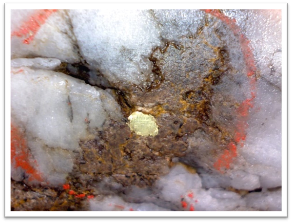 Klondike Gold Corp., Friday, July 21, 2023, Press release picture