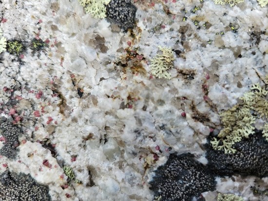 Cannot view this image? Visit: https://www.miningstockeducation.com/wp-content/uploads/2023/08/178741_b568584944ac4ae6_001.jpg