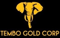 Corporate Logo