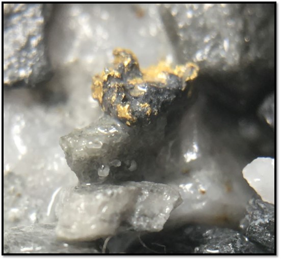 Chip tray sample with visible gold. (Field of view ~3mm)