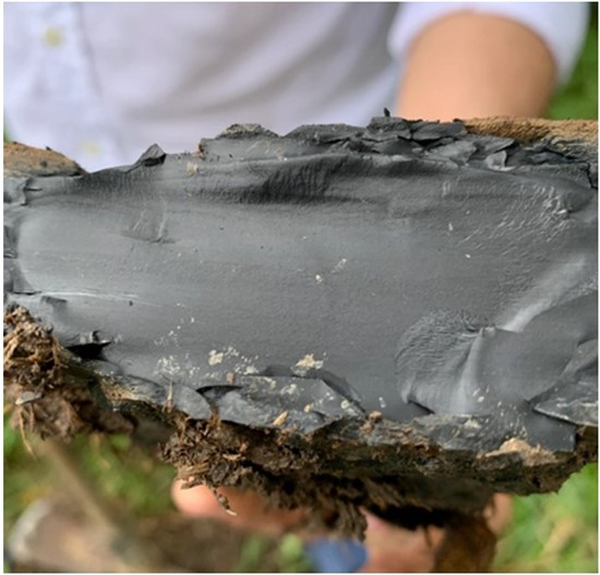 Cannot view this image? Visit: https://www.miningstockeducation.com/wp-content/uploads/2024/01/194709_benjaminhillimagetwo_550.jpg