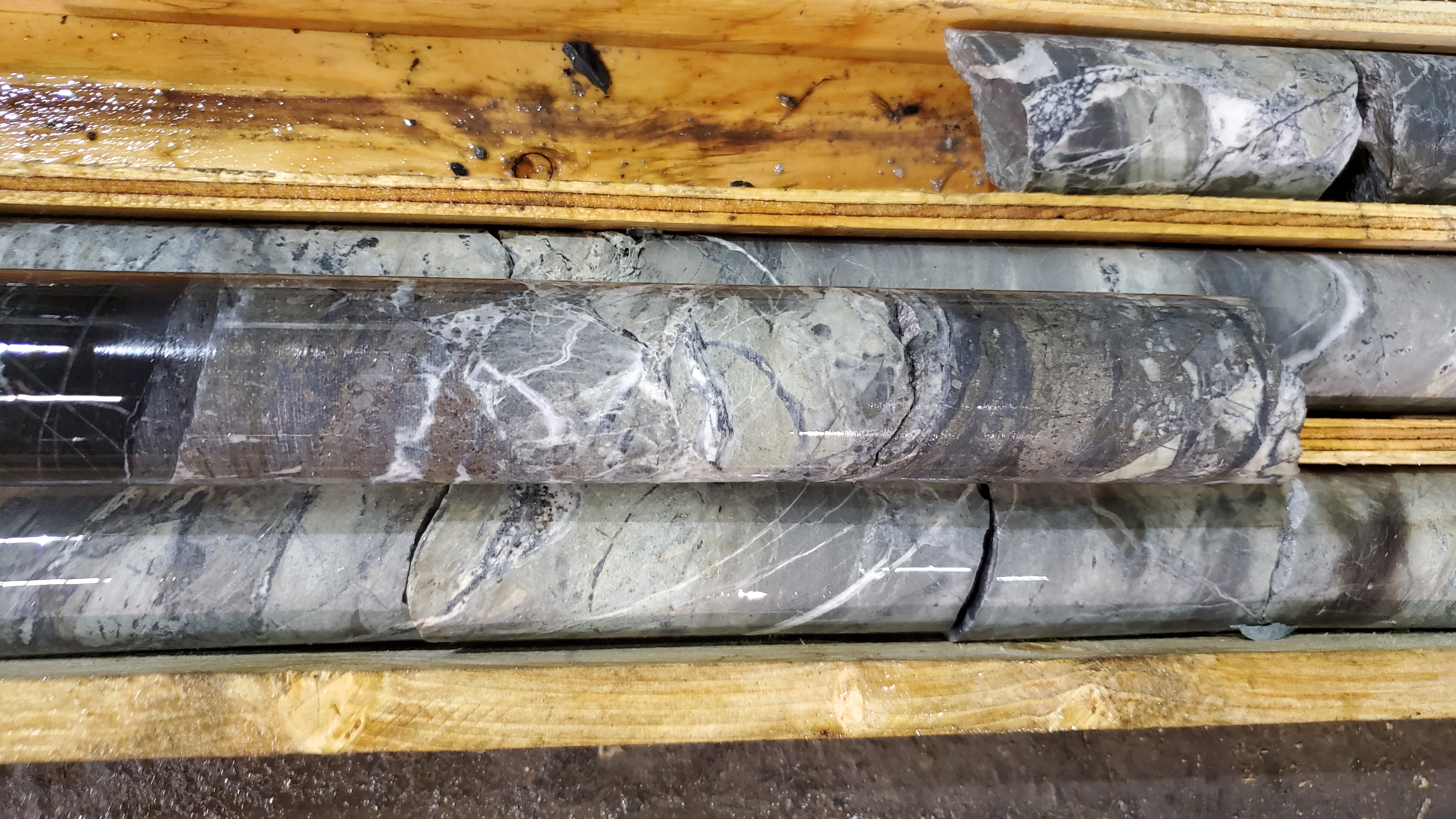 Photo 6 - DEM23-03 - Sulphide-Rich Cherty Quartz-Carbonate Veining