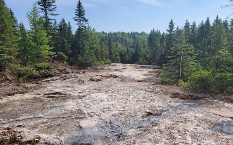 A rocky area with trees in the background

Description automatically generated
