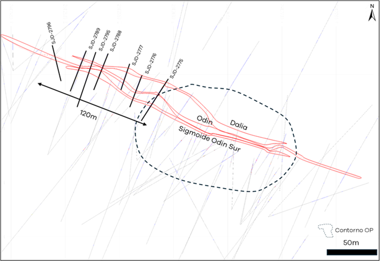 Plan map of near surface veins and Contorno open pit