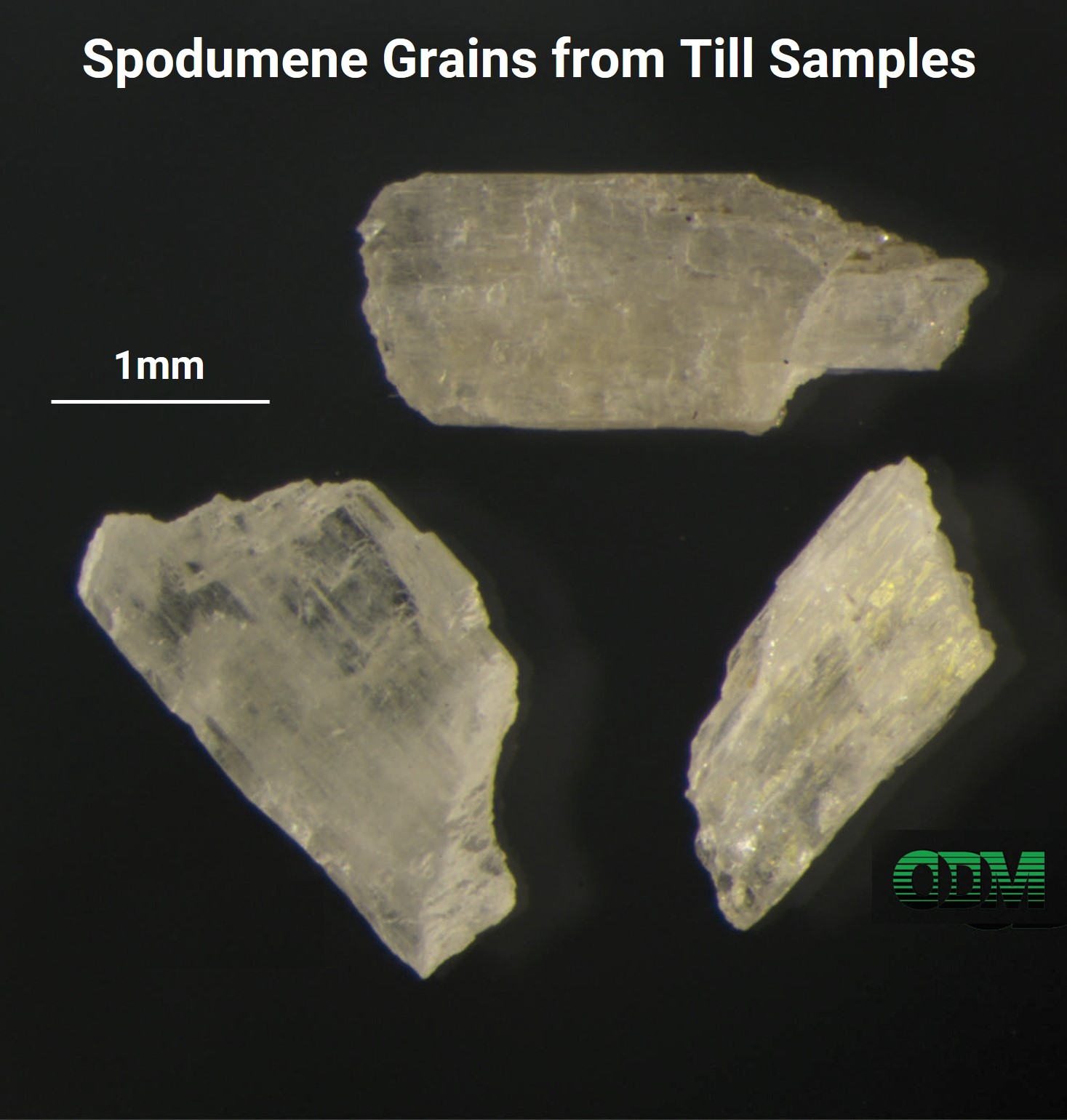 SpodumeneGrains