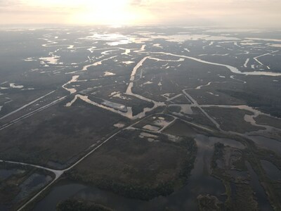 Black Bayou