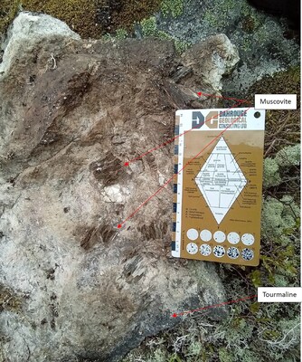 Figure 3: Mineralogy of Dyke (C00282855) (CNW Group/Comet Lithium Corporation)