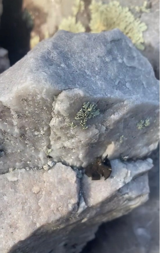 Cannot view this image? Visit: https://www.miningstockeducation.com/wp-content/uploads/2024/10/226074_c3699317a480d9c6_003.jpg