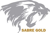 Corporate Logo
