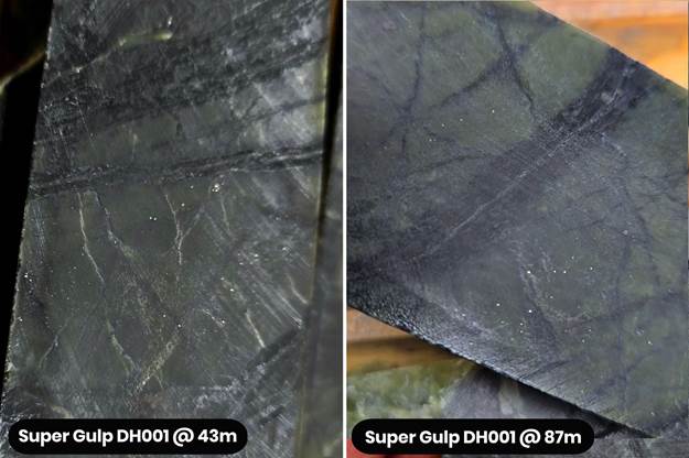 Super Gulp 2024 Drill hole 01 at the Atlantic Nickel Project showing commonly disseminated sulfur-free-nickel (awaruite) in serpentinized ultramafic with serpentine-magnetite fracture filling and veinlets shown at 43 meters and 87 meters downhole.
