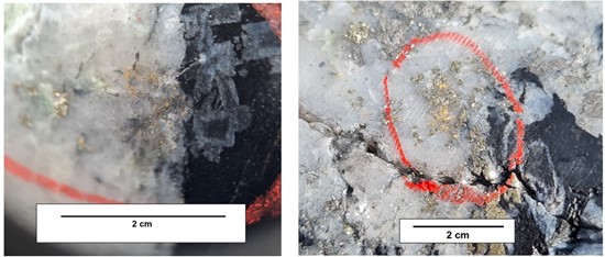 Cannot view this image? Visit: https://www.miningstockeducation.com/wp-content/uploads/2024/11/228773_palamina_figure2_550.jpg